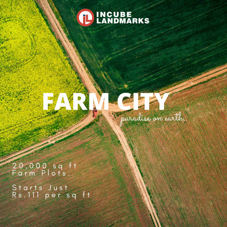 Farmcity Project