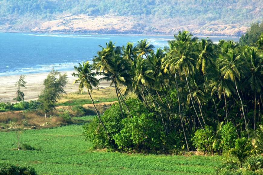 Why invest in Konkan